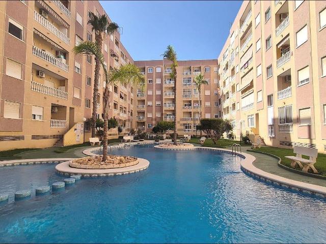 Piso, Parque de las Naciones, Torrevieja