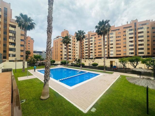 Piso, Paus, Alicante / Alacant