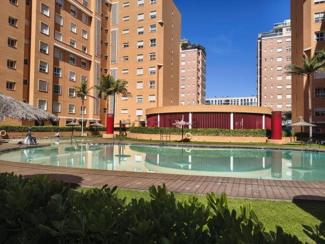Piso, Paus, Alicante / Alacant