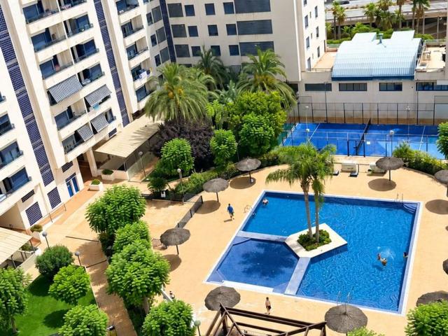 Piso, Paus, Alicante / Alacant