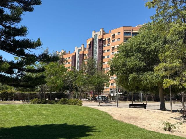 Piso, Paus, Alicante / Alacant