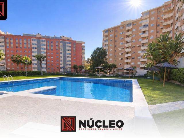 Piso, Paus, Alicante / Alacant