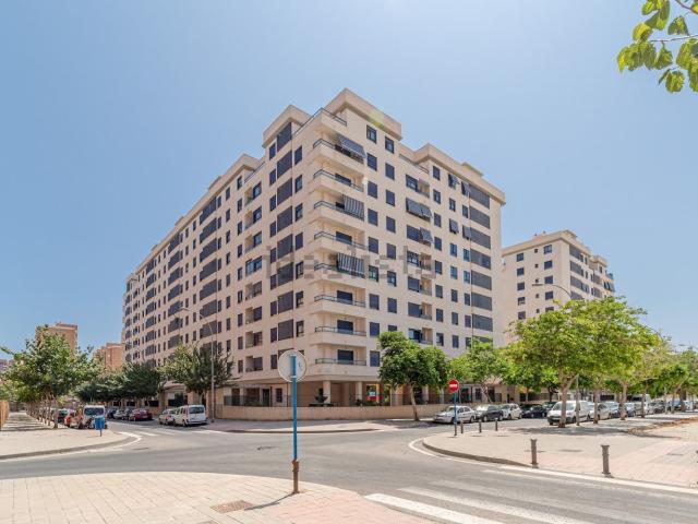 Piso, Paus, Alicante / Alacant