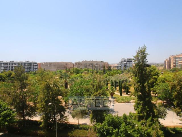 Piso, Paus, Alicante / Alacant
