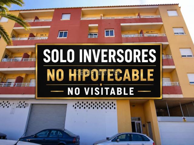 Piso, Pego
