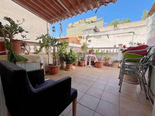 Piso, Pere Garau, Palma de Mallorca