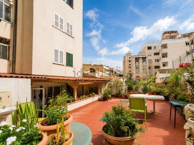Piso, Pere Garau, Palma de Mallorca