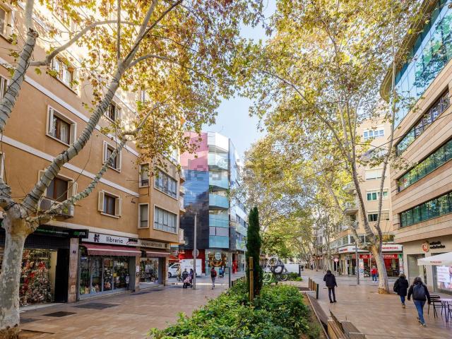 Piso, Pere Garau, Palma de Mallorca