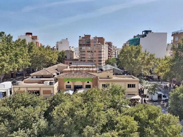 Piso, Pere Garau, Palma de Mallorca
