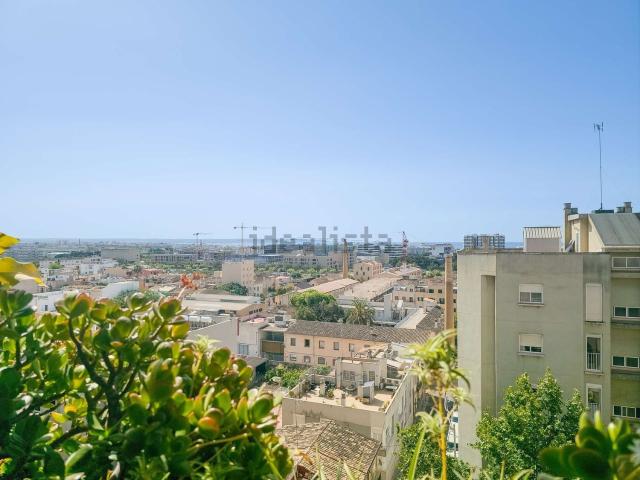 Piso, Pere Garau, Palma de Mallorca