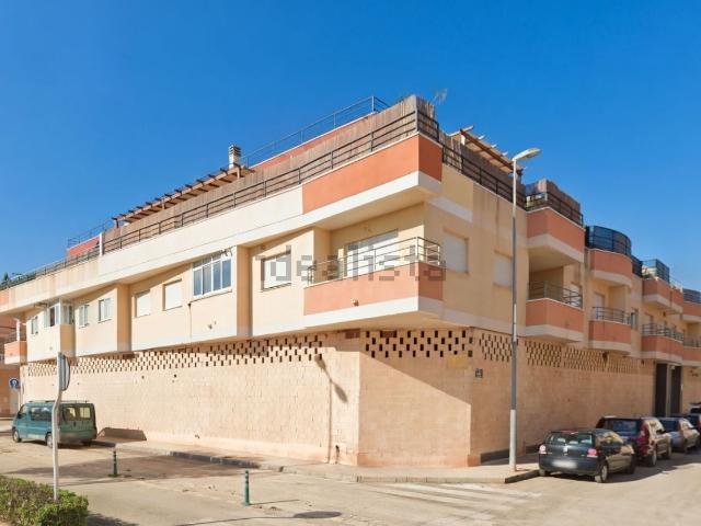 Piso, Pilar de la Horadada