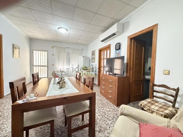 Piso, Pilar de la Horadada