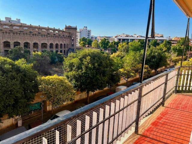 Piso, Plaça de Toros, Palma de Mallorca