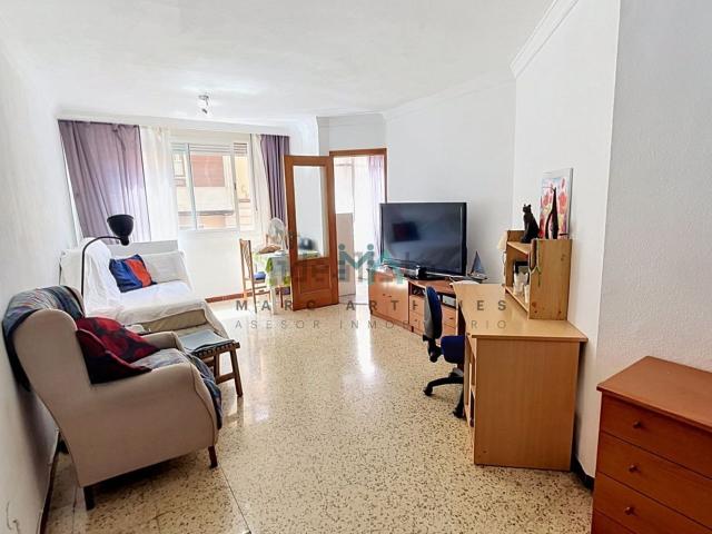 Piso, Plaça de Toros, Palma de Mallorca