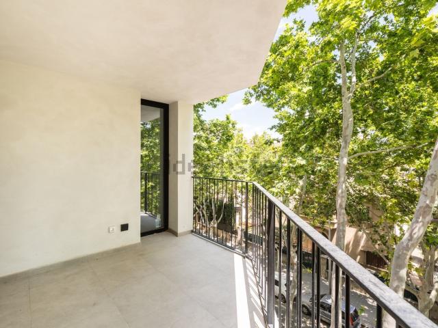 Piso, Plaça de Toros, Palma de Mallorca