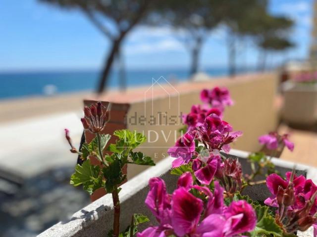 Piso, Platja Llarga, Castell Platja d&apos Aro