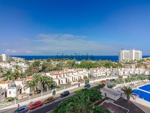 Piso, Playa de las Américas, Adeje