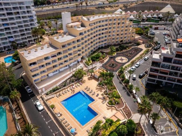 Piso, Playa de las Américas, Adeje