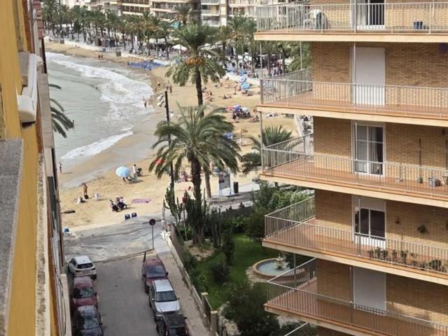 Piso, Playa del Cura, Torrevieja
