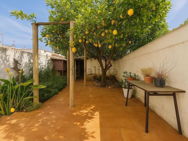Piso, Rafal Vell, Palma de Mallorca