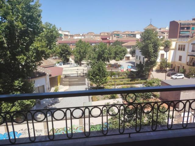 Piso, Recogidas, Granada