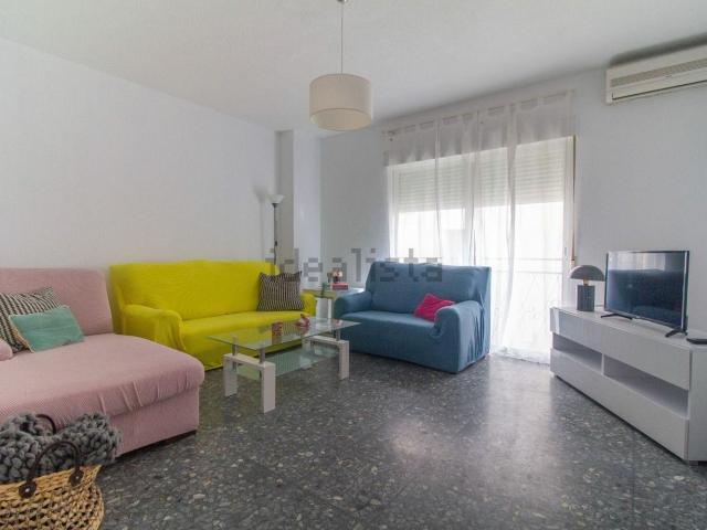 Piso, Recogidas, Granada