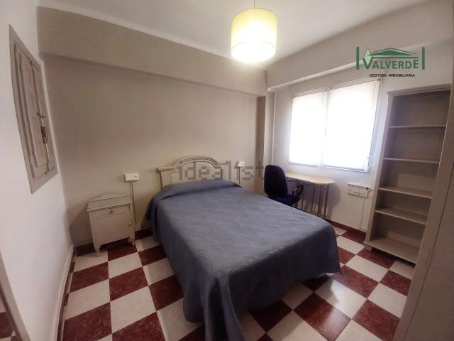 Piso, Recogidas, Granada