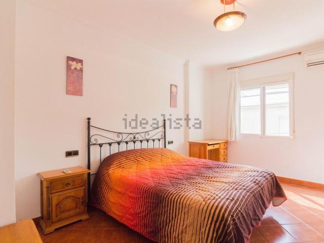 Piso, Redovan