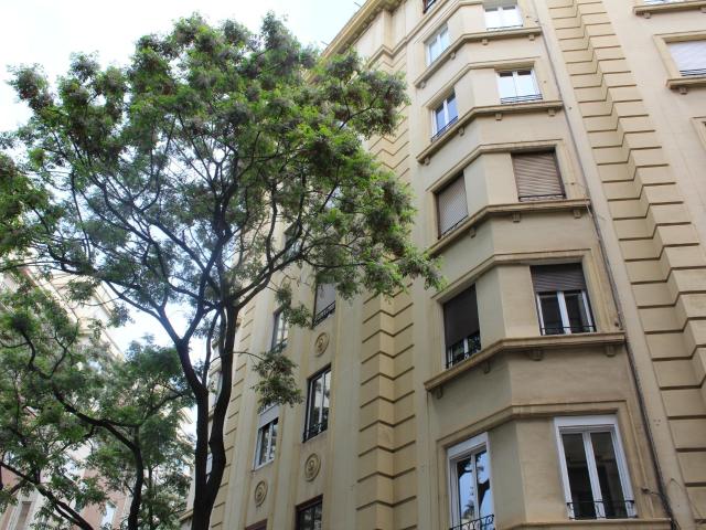 Piso Reformado en el Corazón de Conde Altea Ideal para Inversores
