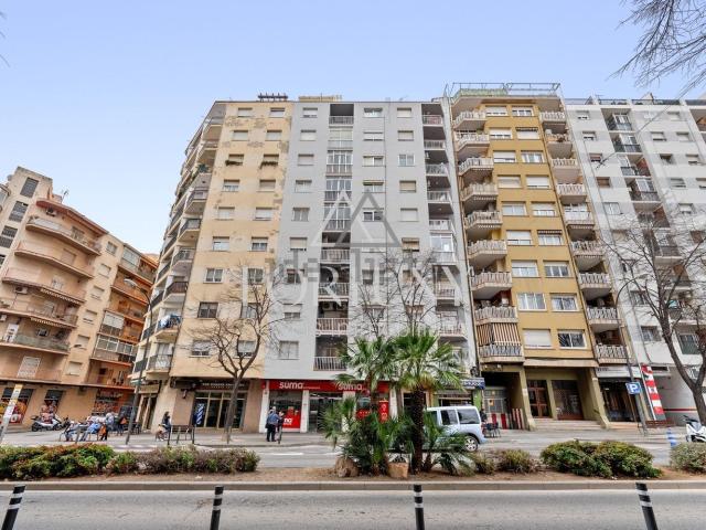 Piso, Reus
