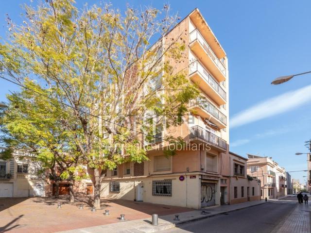 Piso, Reus