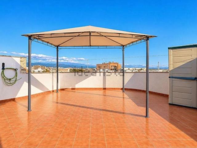 Piso, Reus
