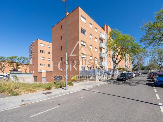 Piso, Reus