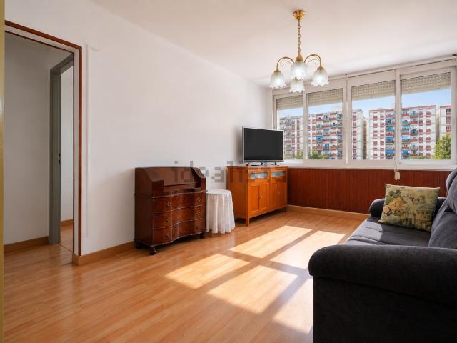Piso, Reus
