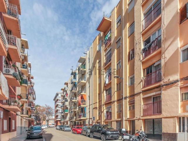 Piso, Reus