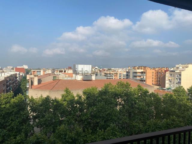 Piso, Reus