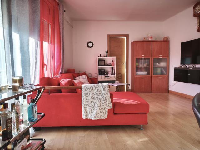 Piso, Ripoll