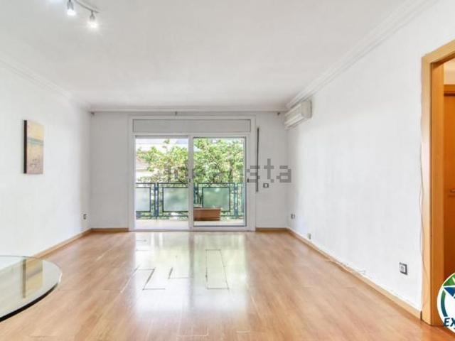 Piso, Roses