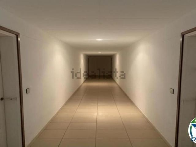 Piso, Roses