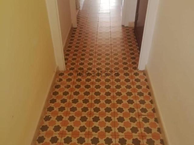 Piso, Súria