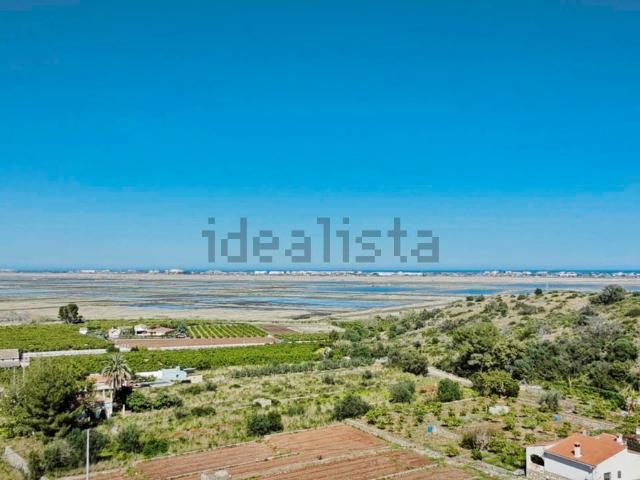 Piso, Sagra