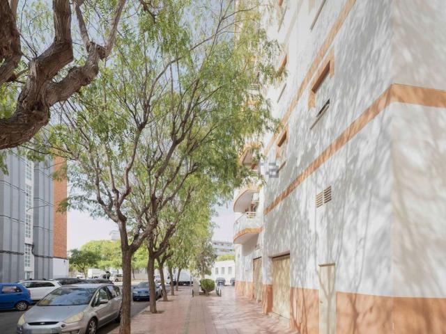Piso, San Vicente del Raspeig