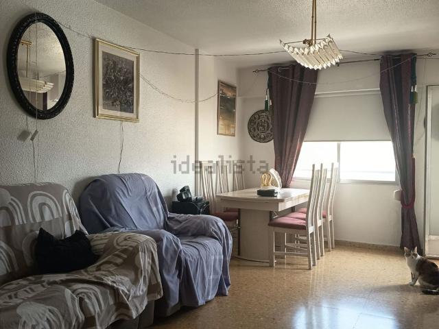 Piso, San Vicente del Raspeig