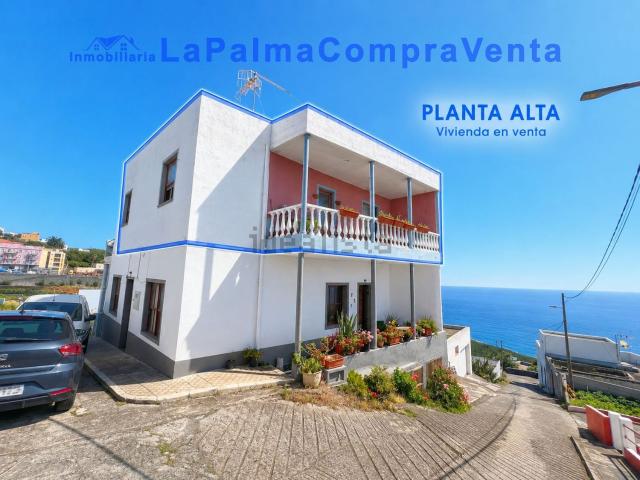 Piso, San Andrés y Sauces