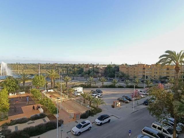 Piso, San Antón Palmerales, Elche / Elx