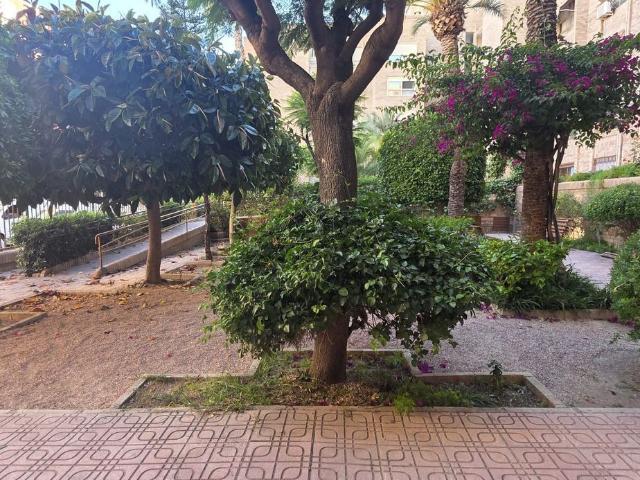 Piso, San Crispín, Elche / Elx