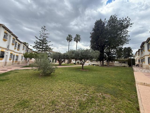 Piso, San Miguel de Salinas