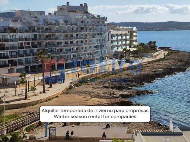 Piso, Sant Antoni de Portmany