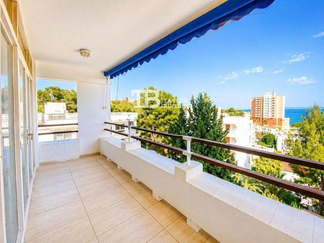 Piso, Sant Agustí, Palma de Mallorca