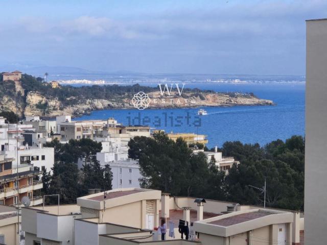 Piso, Sant Agustí, Palma de Mallorca